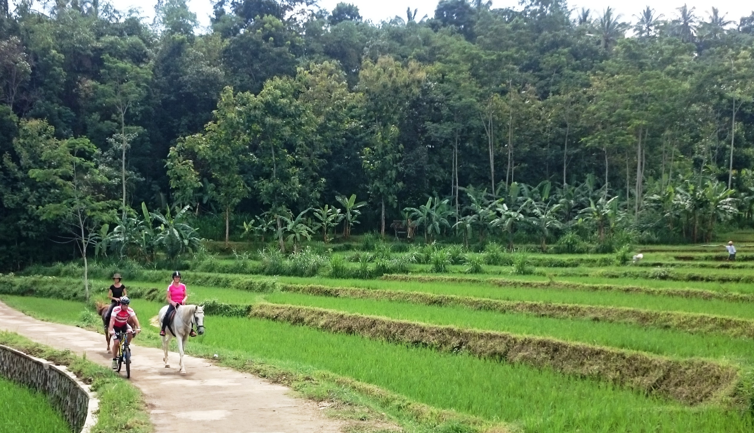 Trekking on horseback and on mountain bike