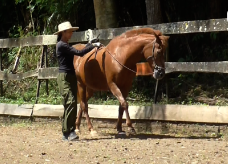 Work in hand: Renvers