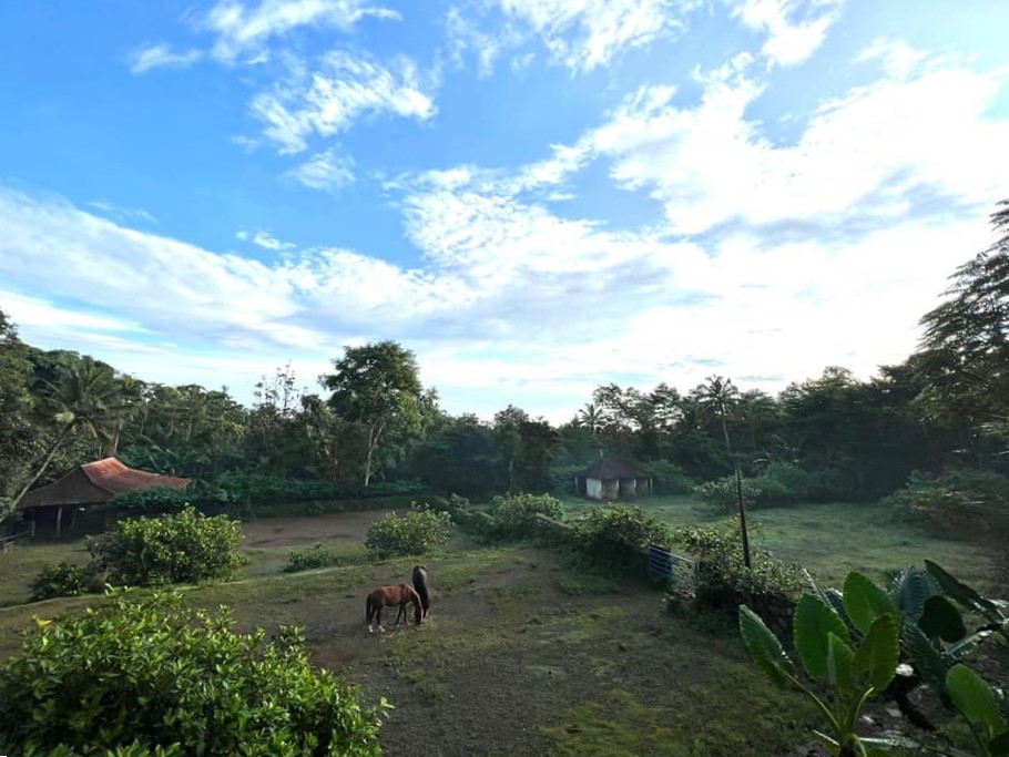 View from the Lodge