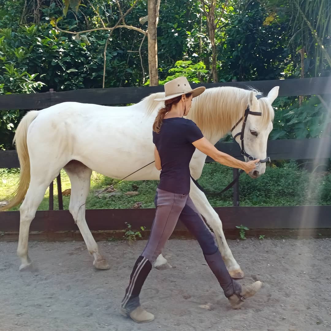 straightness training to supple and balance the horse