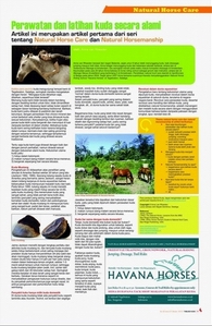 tabloid kuda edisi IV oktober 2010