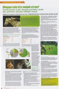 tabloid kuda edisi V desember 2010