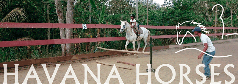 courses and lessons at havana horses
