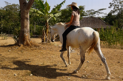 Riding with tack... or with nothing at all