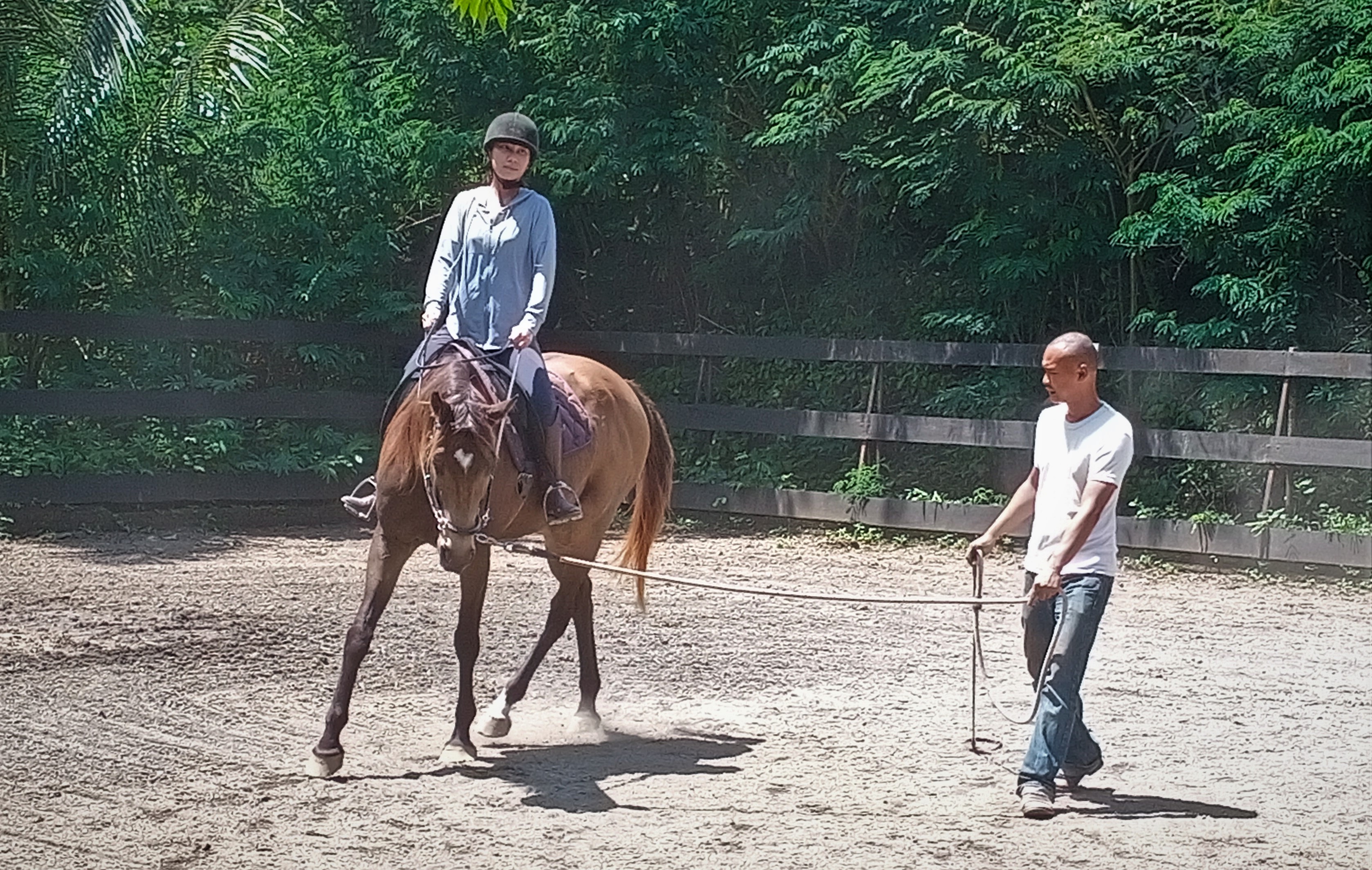 Riding with LFS: lateral bend, forward down tendency, and stepping under with the inside hind leg